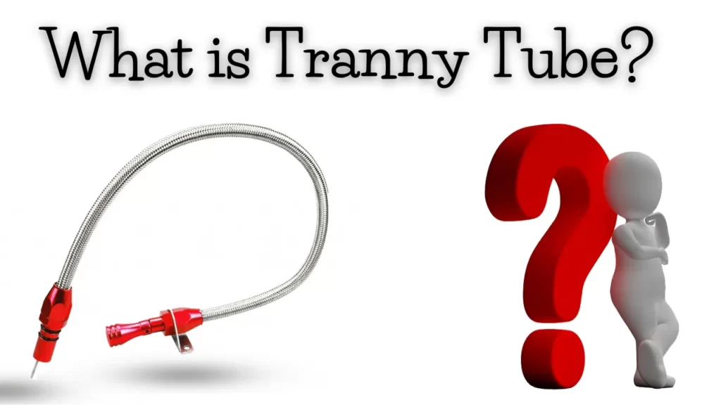 1 tranny tube