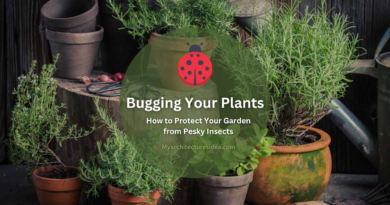 Bugging Your Plants
