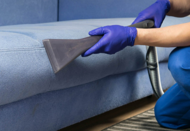 What to Expect from a Professional Upholstery Cleaning Service