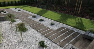 Creative Paving Ideas